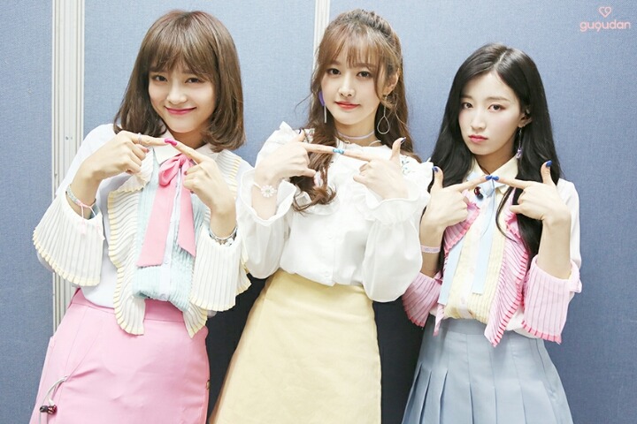 하나시 이미지