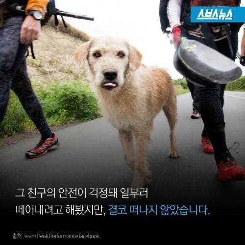 길에서 만난 친구 | 인스티즈