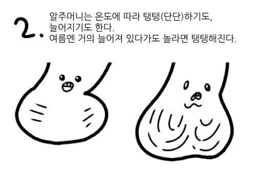 여자는 잘 모르는 고추의 비밀.jpg | 인스티즈