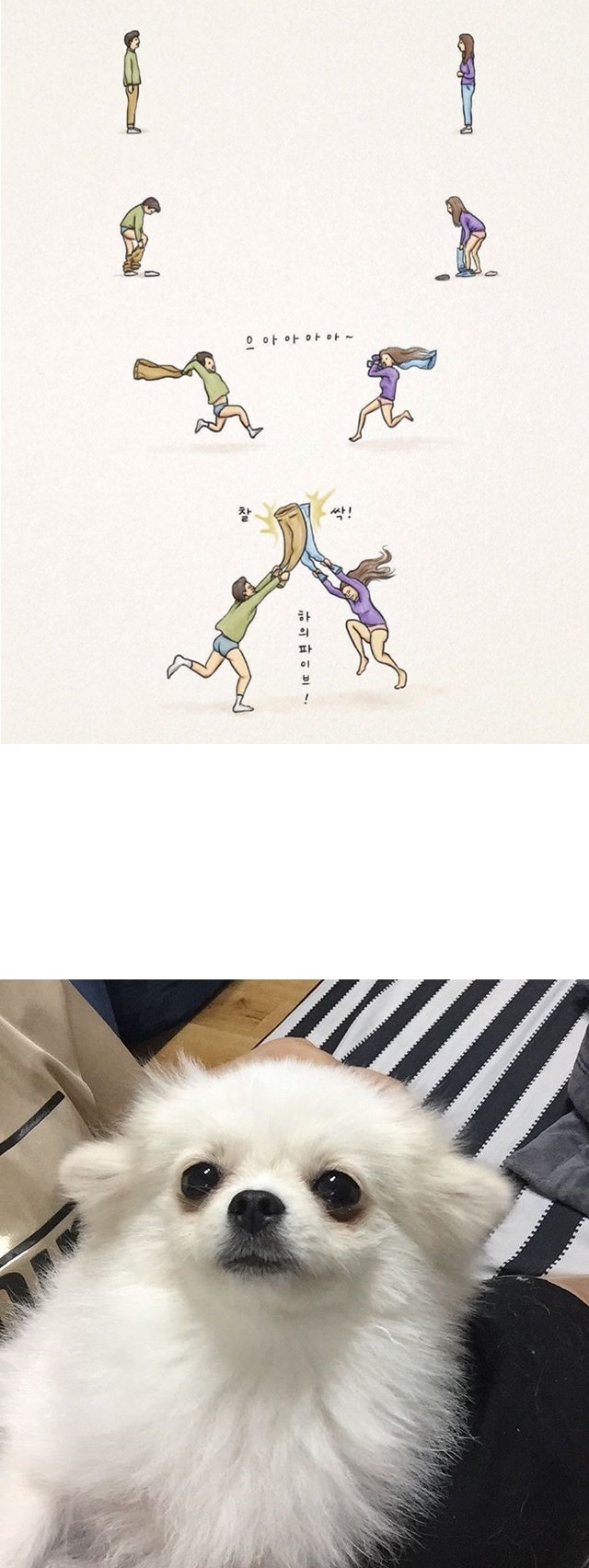 하이파이브 | 인스티즈