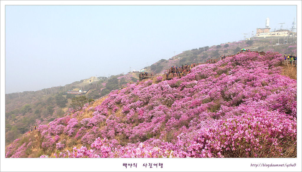 고려산 이미지