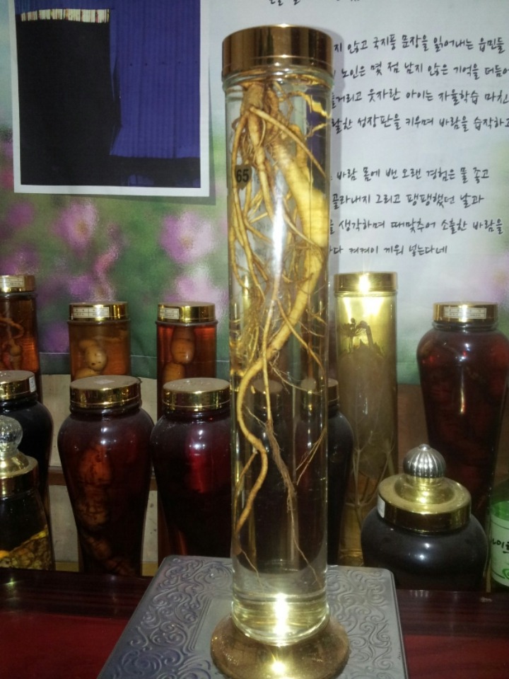 진삼 이미지