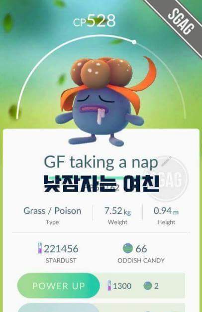 천조국의 흔한 포켓몬고 작명.jpg | 인스티즈