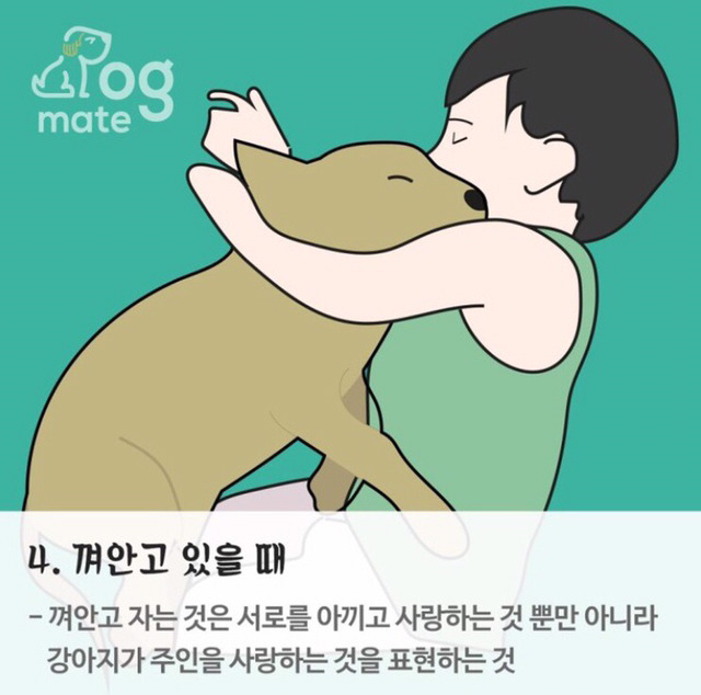 자는 자세로 보는 나와 강아지의 관계 | 인스티즈
