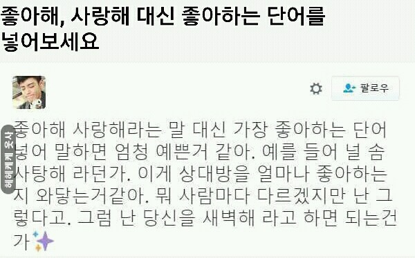사랑해 대신 좋아하는 단어를 넣어보세요 | 인스티즈