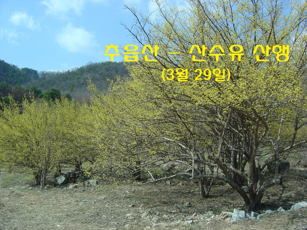 (주)꽃보다 크린 이미지