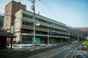 일박이일 이미지