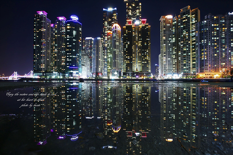 목금 이미지