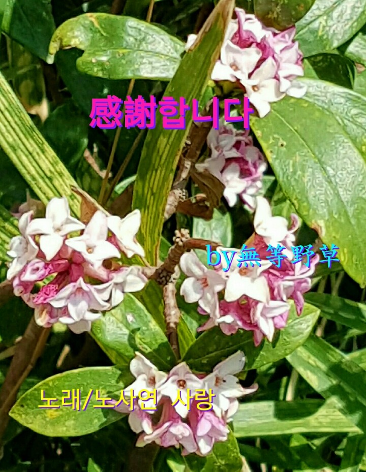 서향 이미지