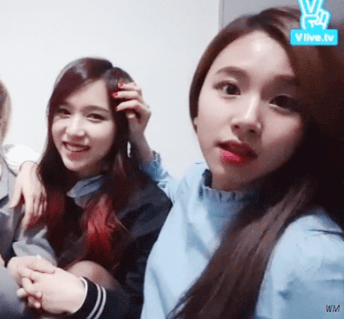 [트와이스] 미나 머리 쓰다듬는 걸크러쉬 채영이 ㅋㅋㅋ | 인스티즈