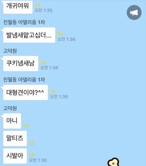 대형견이야?.jpg | 인스티즈