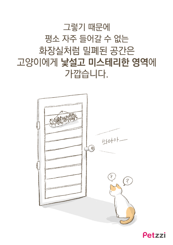 고양이가 화장실 앞에서 기다리고 있는 이유? (만화) | 인스티즈