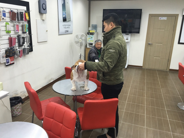 휴대폰백화점 이미지