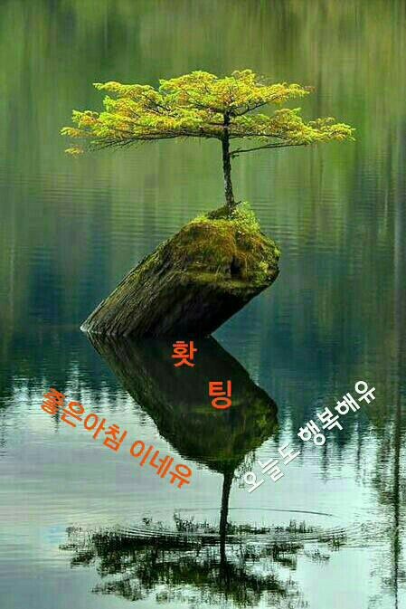 행복한 아침 이미지