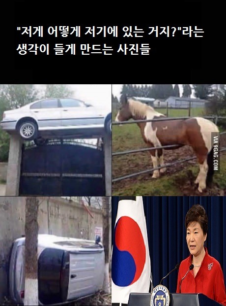 저게 어떻게 저기 있는 건가 싶은 사진들 | 인스티즈