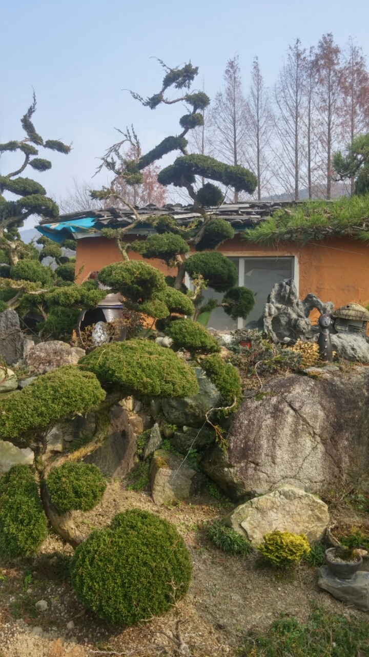 마당조경 이미지