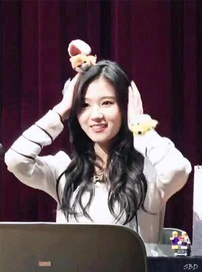 [트와이스] 사나 + 다람쥐 | 인스티즈