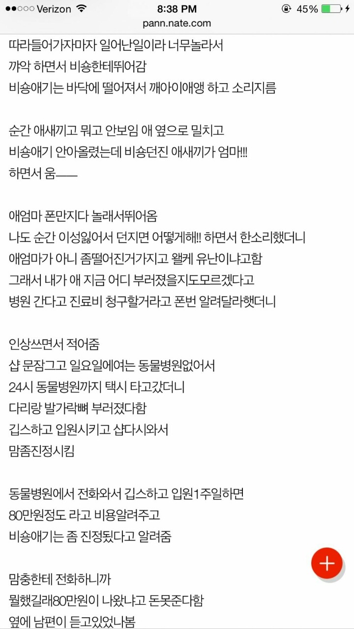 강아지를 집어던진 아이들과 애견샵 주인 | 인스티즈