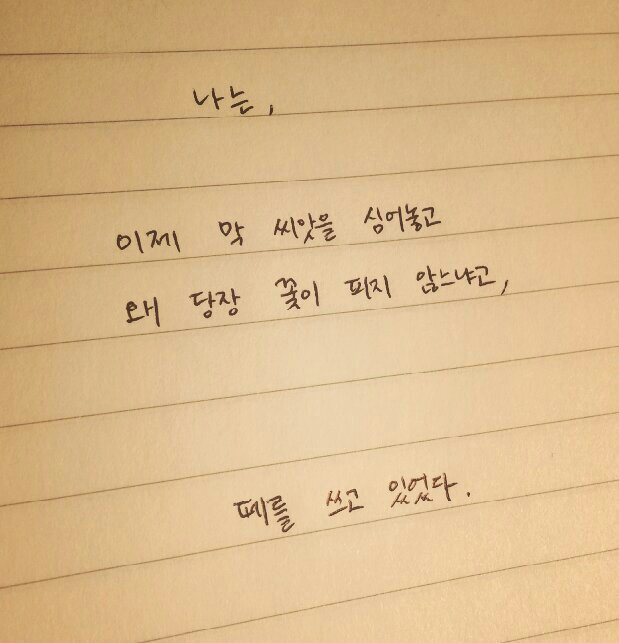힘들 때 보면 위로가 되는(혹은 공감되는) 글귀들.jpg | 인스티즈