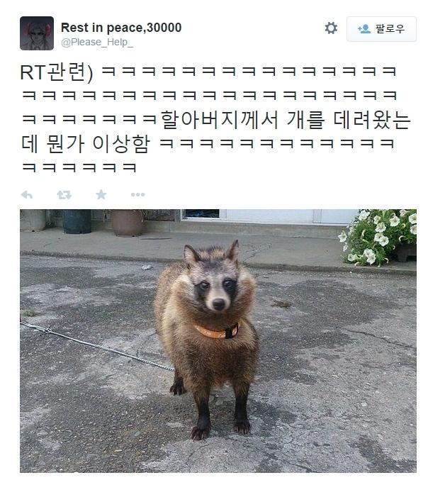 할아버지가 왠 개를 주워오셨다.. | 인스티즈