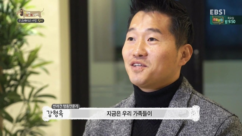 [세상에나쁜개는없다] 가족들에게 짖고 무는 강아지 릴리햏 | 인스티즈