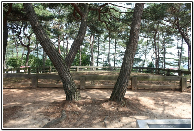 수현주유소 이미지