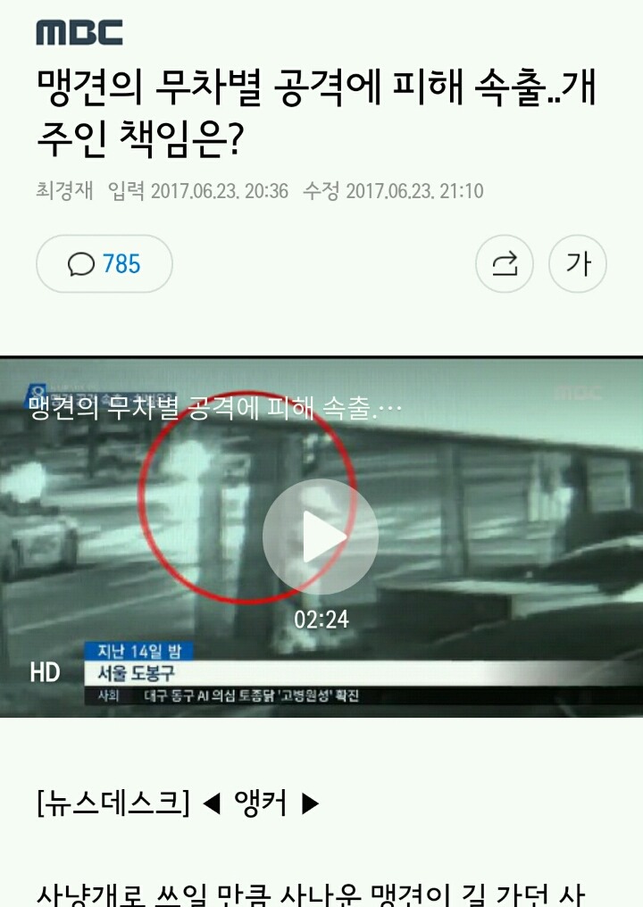 맹견의 무차별 공격에 피해 속출..개 주인 책임은? | 인스티즈