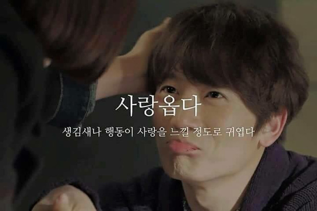 평소에는 잘 쓰지 않는 순수한 우리말 | 인스티즈