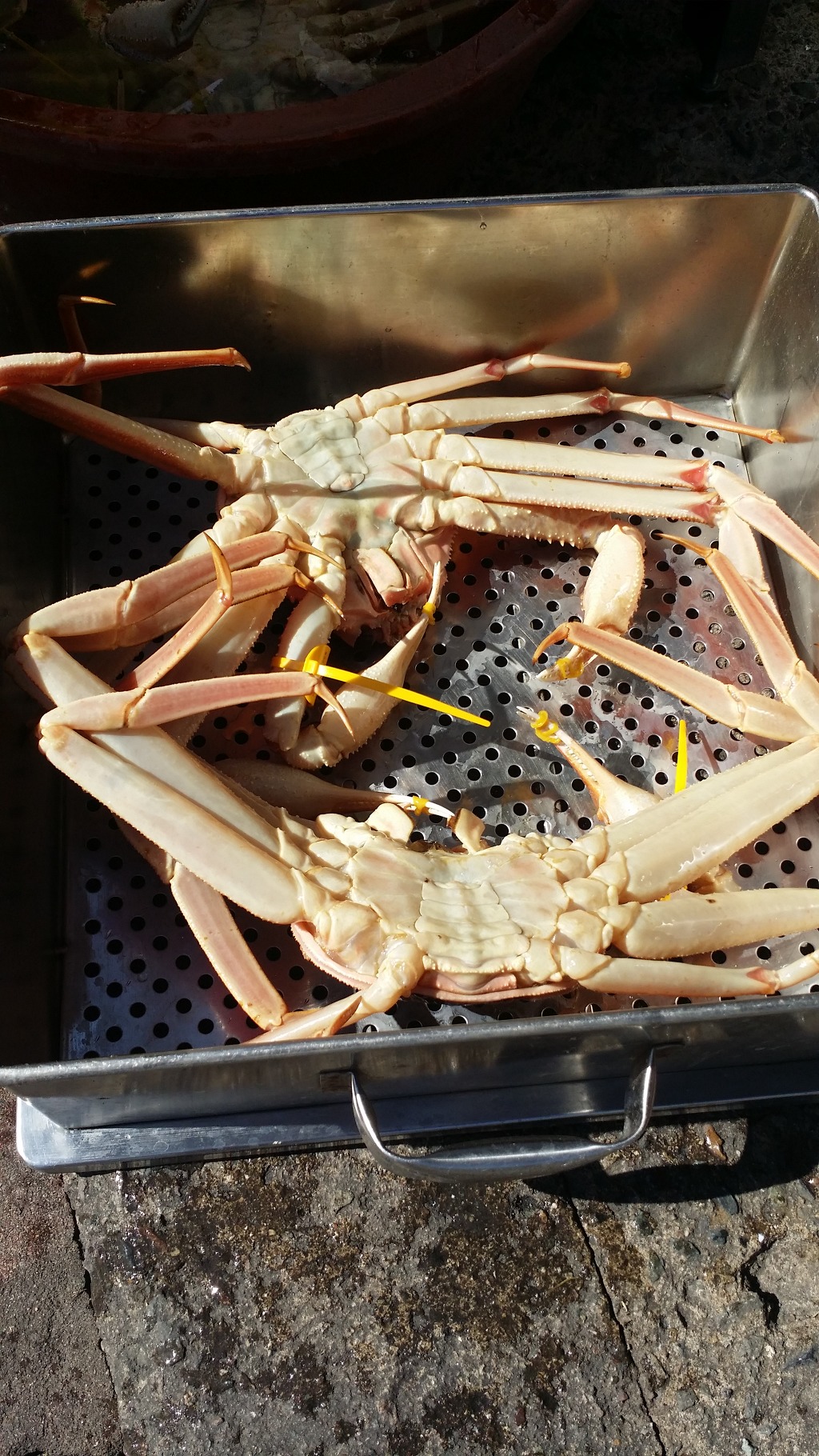 모모식당 이미지