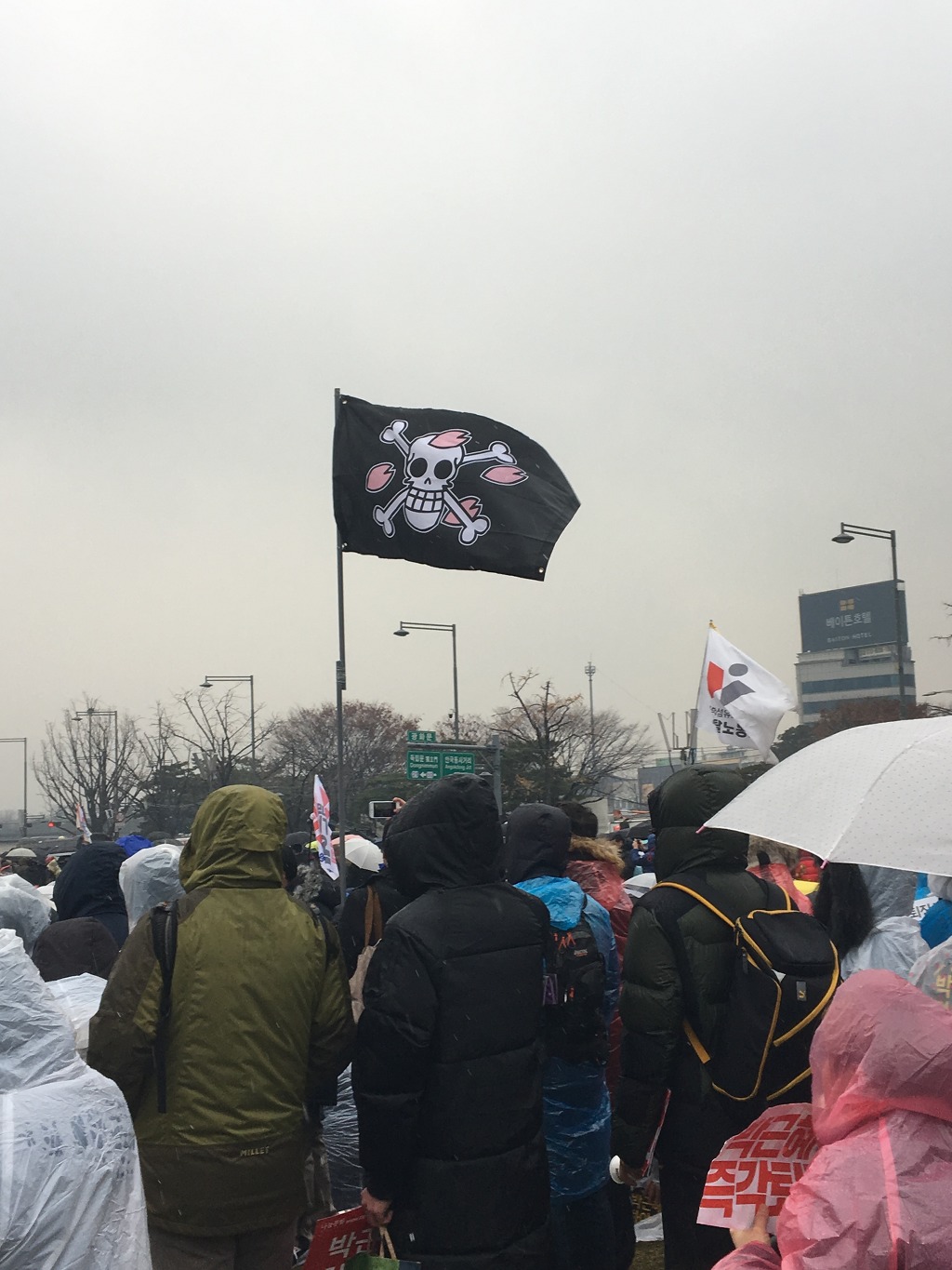 오늘자 촛불집회 단체와 라이더 | 인스티즈