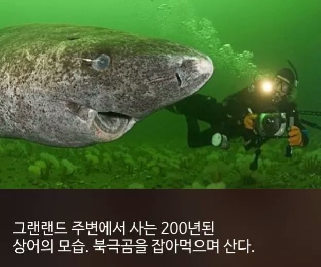 신기한 사실들 | 인스티즈