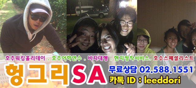 세이브코스트 이미지