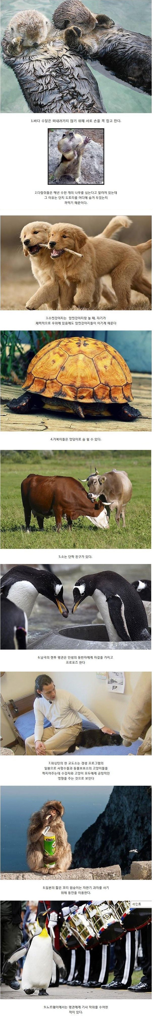 알면 알수록신기한 동물들 특성.jpg | 인스티즈