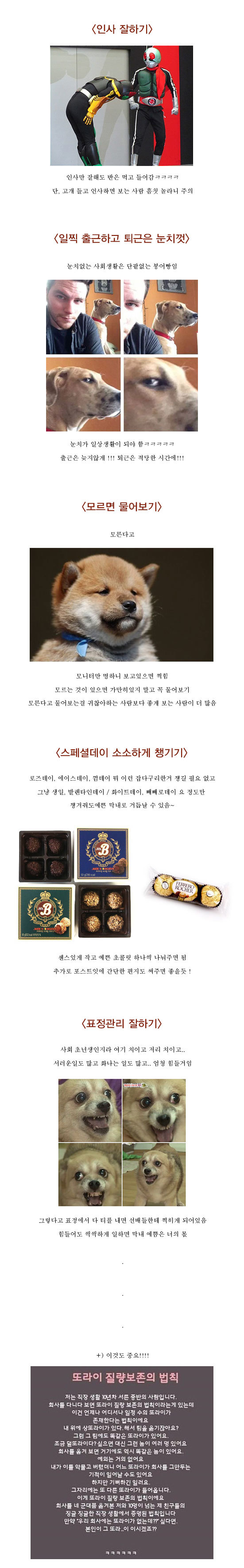 사회초년생이 회사에서 예쁨 받는 팁.jpg | 인스티즈