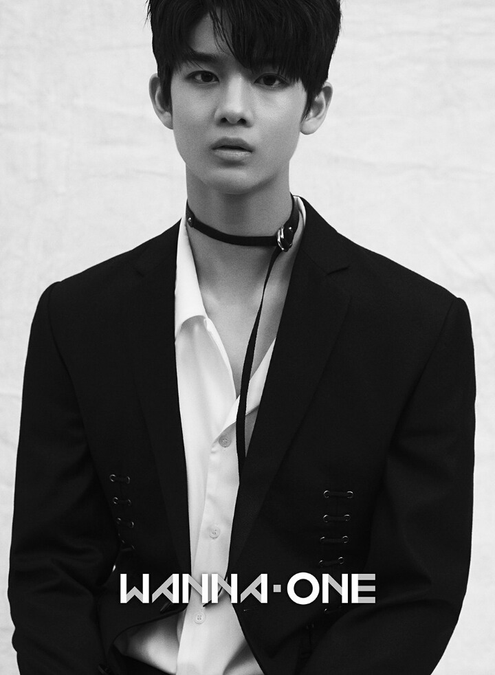 진*영 이미지