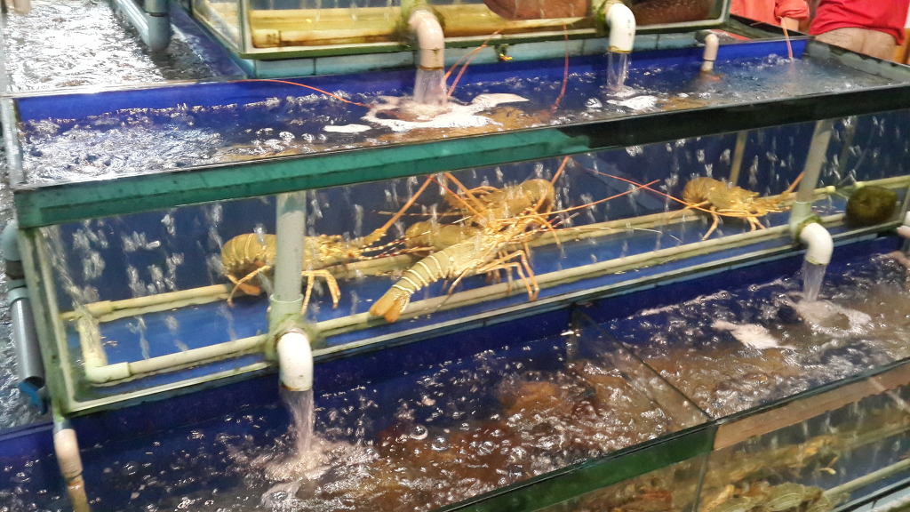 시거리식당 이미지
