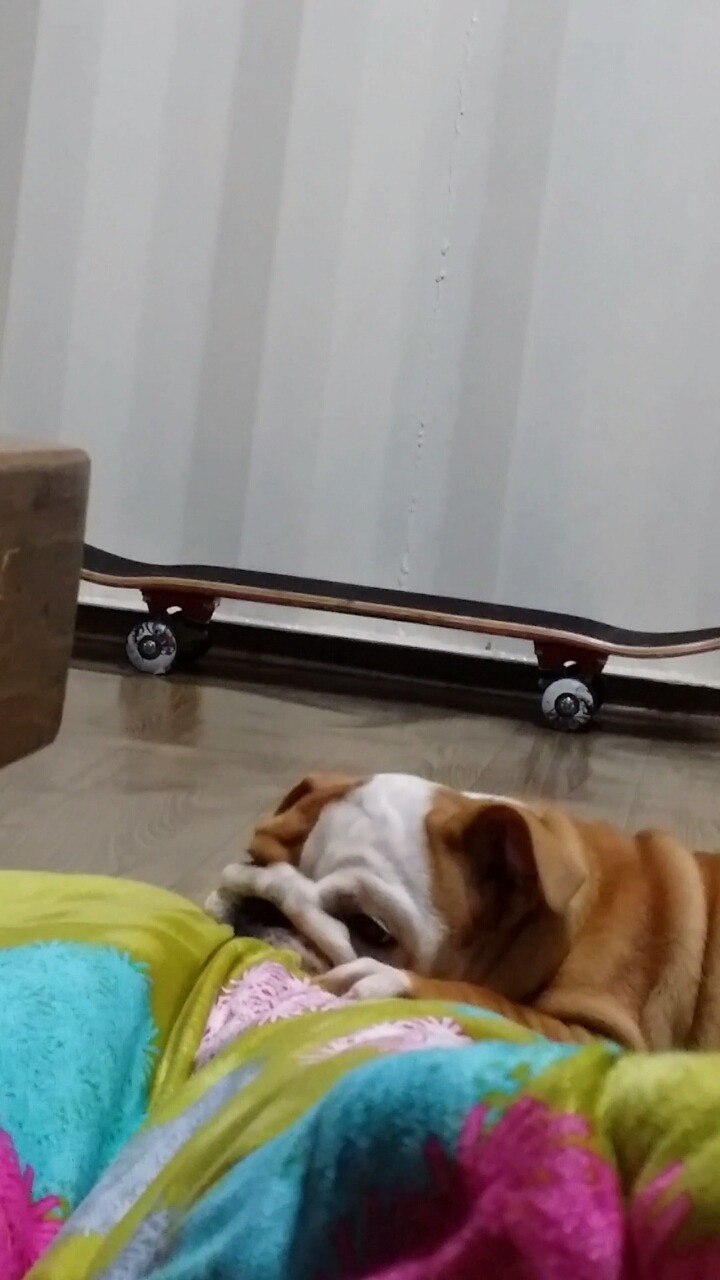 노아 이미지