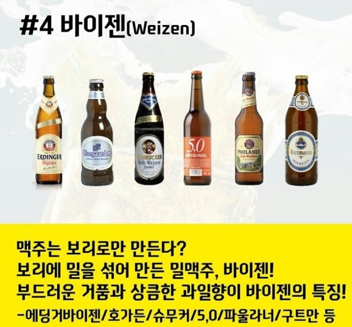 맥주의 종류..여러분의 취향은? | 인스티즈