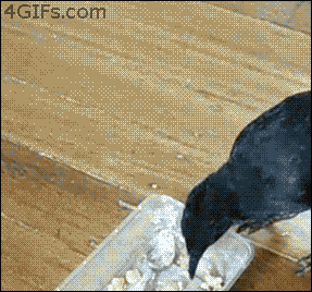 [움짤] 새엄마.GIF | 인스티즈