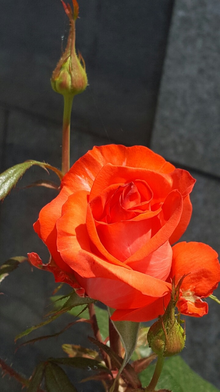 유성농산 이미지