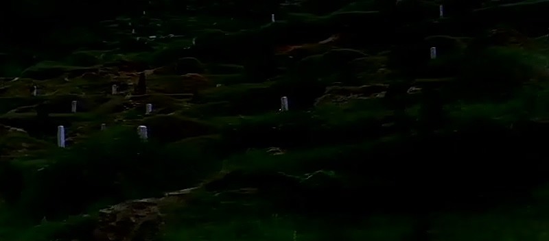 고전영화 월하의 공동묘지(1967) | 인스티즈