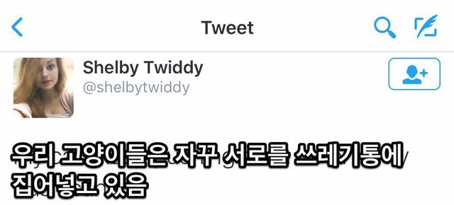 우리 고양이들은 서로를 쓰레기통에 집어넣음.jpg | 인스티즈