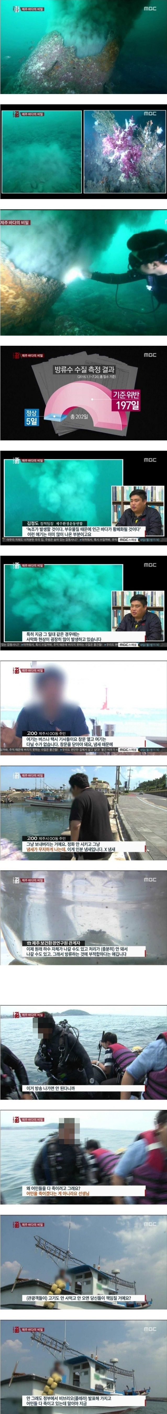 제주 바다의 말 못할 비밀 | 인스티즈