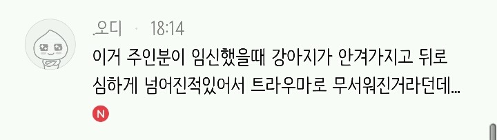 여자보면 쓰러지는 개 이야기 | 인스티즈
