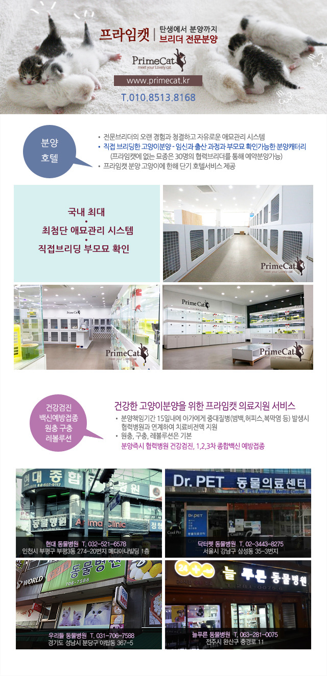 아로미헤어 이미지