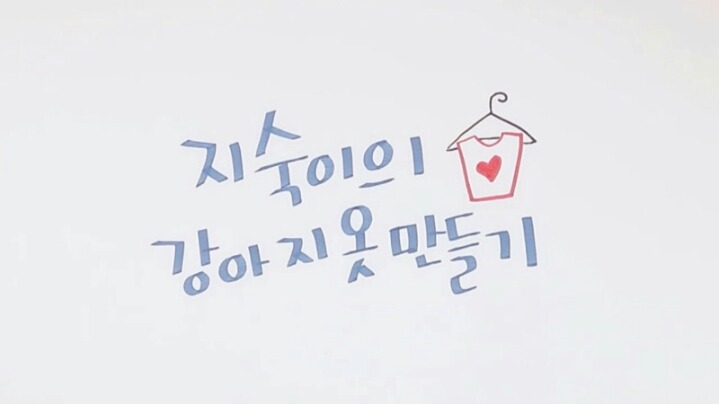 강아지 옷 만드는 지숙.jpg | 인스티즈