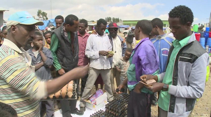 LG가 아프리카에서 하고 있는 "문명" 게임....LG가 또~ | 인스티즈