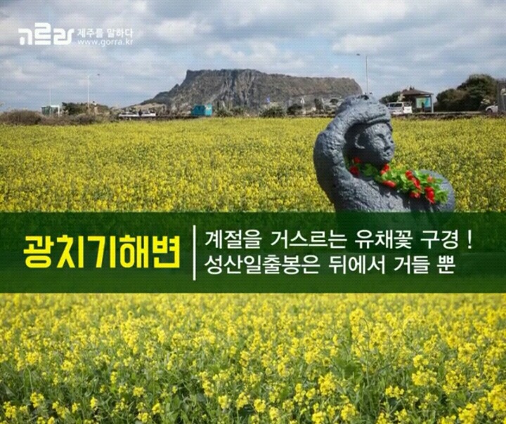 제주 겨울 여행지 12.jpg | 인스티즈