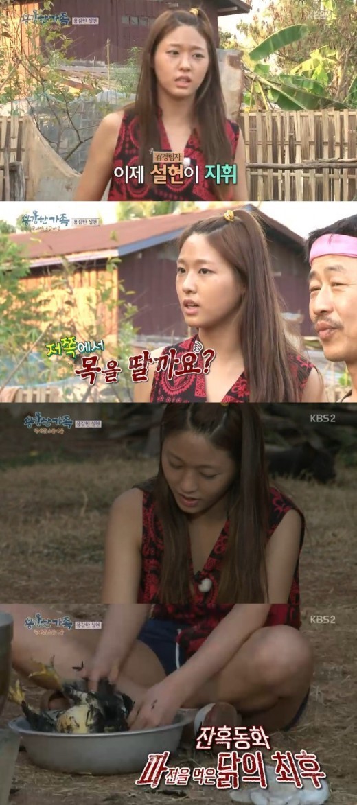 한달동안 무인도에서 버텨야한다면 같이 지낼 파트너는.. 김병만 vs 설현 | 인스티즈