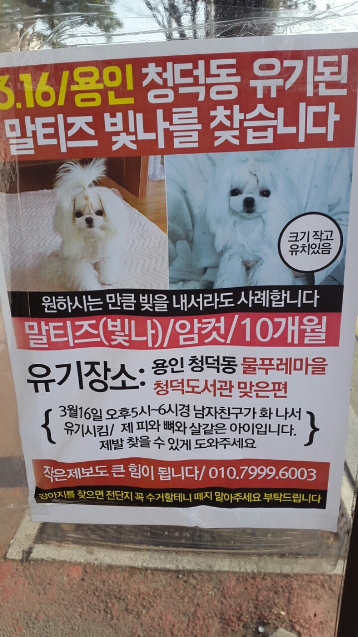 남자친구가 화나서 유기시킴.jpg | 인스티즈